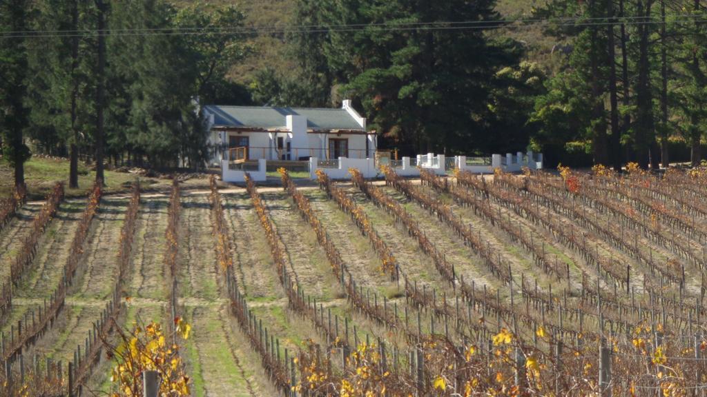 Topiary Wine Estate & Cottages Franschhoek Quarto foto