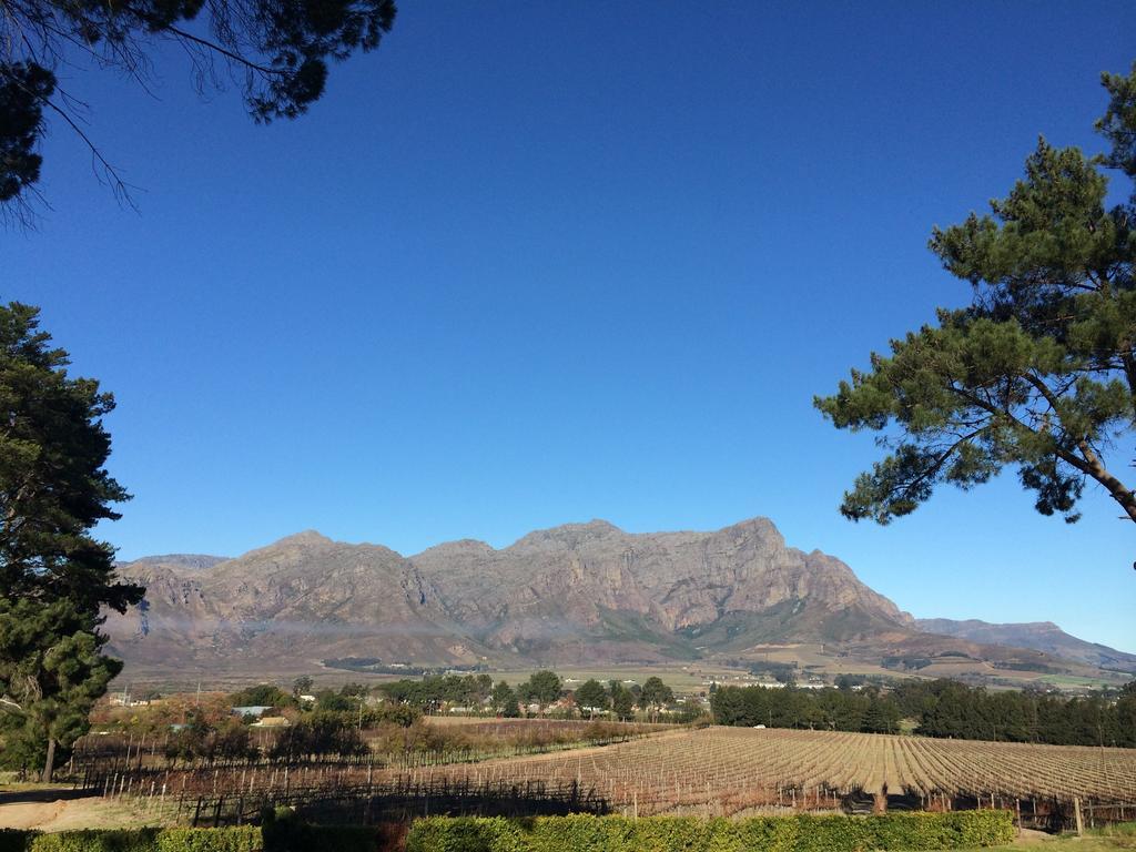 Topiary Wine Estate & Cottages Franschhoek Quarto foto