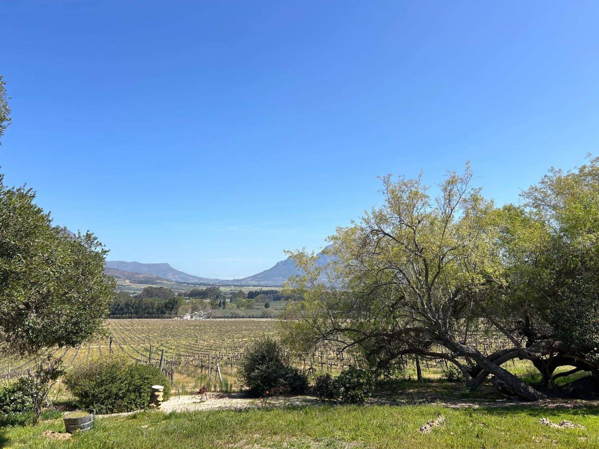 Topiary Wine Estate & Cottages Franschhoek Exterior foto