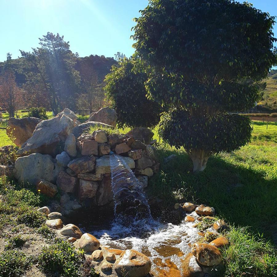 Topiary Wine Estate & Cottages Franschhoek Exterior foto