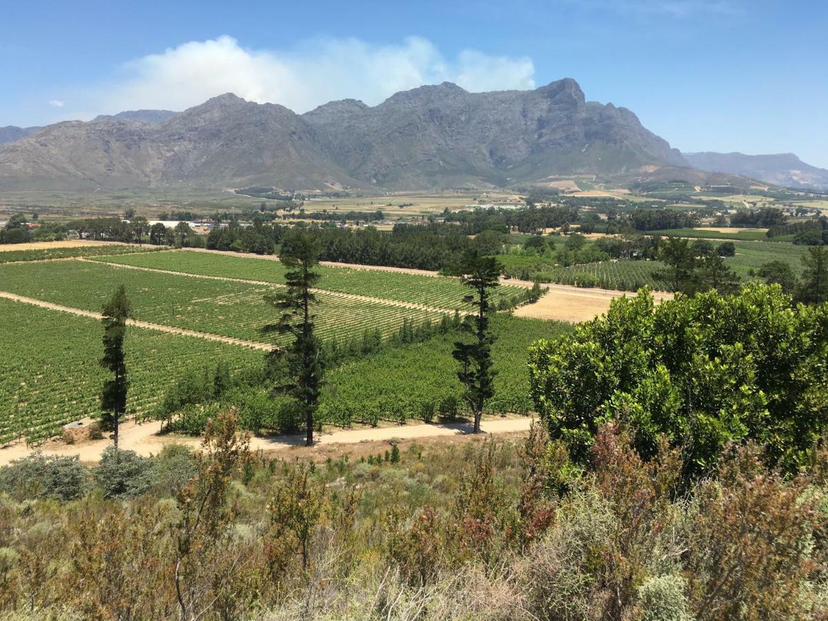 Topiary Wine Estate & Cottages Franschhoek Exterior foto